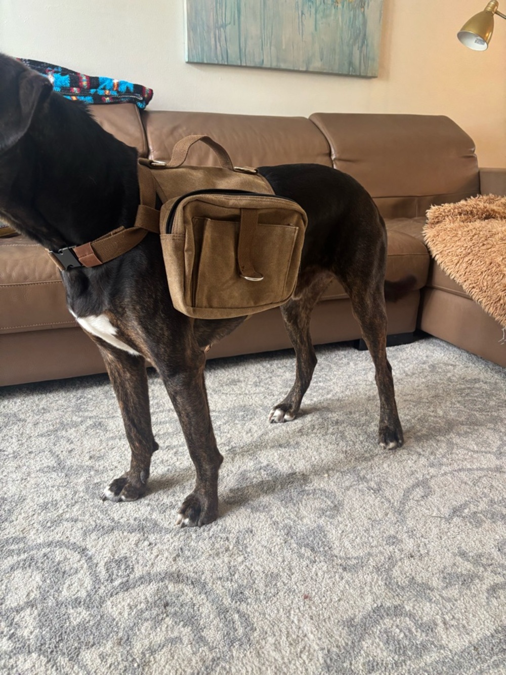 Versatile Brown Dog Saddle Bag Harness with Dual Pockets